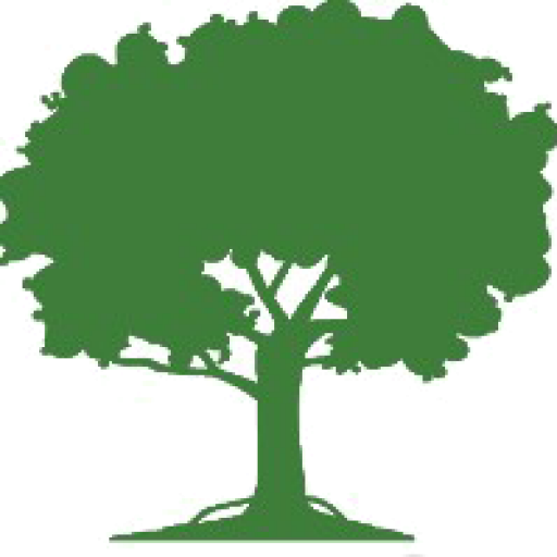 Genealogy 101 Tree