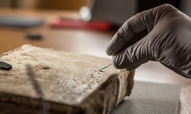 DNA & Manuscript Archeology